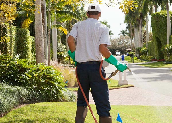 About Wickhaven PA Pest Control Pros